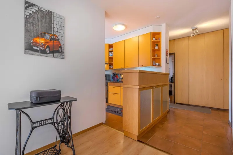 INVESTIMENTO IDEALE - AMPIO 3.5 CON TERRAZZA NEL LUGANESE, foto 3