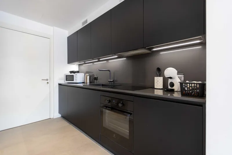 AFFITTASI STUPENDO 1.5 LOCALI ARREDATO A LUGANO PREGASSONA, Foto 2
