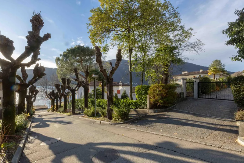 AFFITTASI 1.5 CON GIARDINO E PISCINA VISTA LAGO A MORCOTE, foto 2