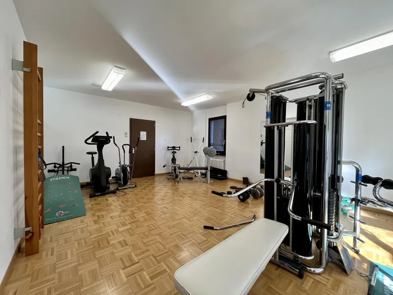 AFFITTASI 3.5 LOCALI CON SAUNA E PALESTRA A MENDRISIO, foto 9