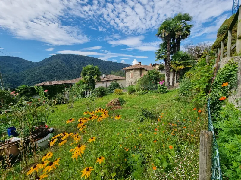 SPLENDIDO TERRENO EDIFICABILE CON PROGETTO A MONTEGGIO, Foto 2