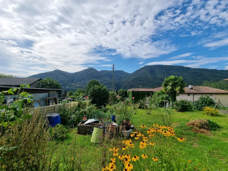 SPLENDIDO TERRENO EDIFICABILE CON PROGETTO A MONTEGGIO, Foto 4