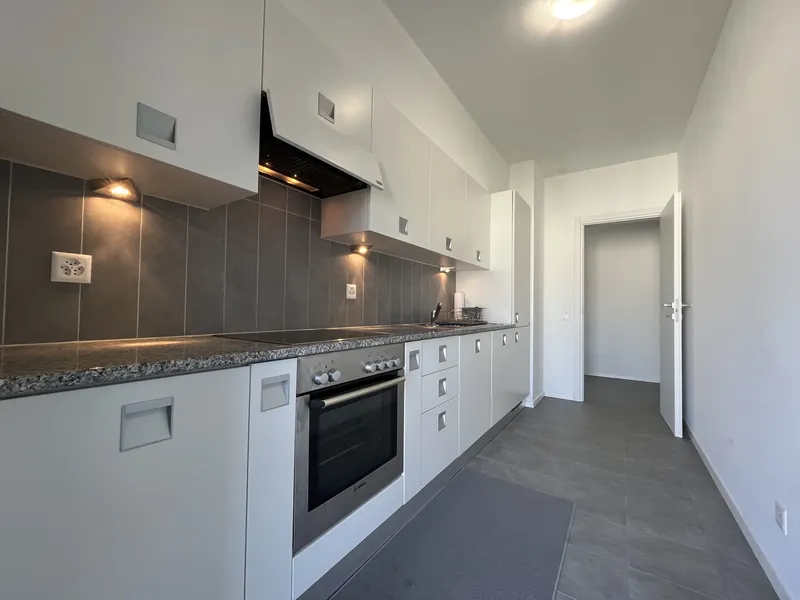 AFFITTASI MODERNO 4.5 IN RESIDENZA PRESTIGIOSA A SORENGO, Foto 1