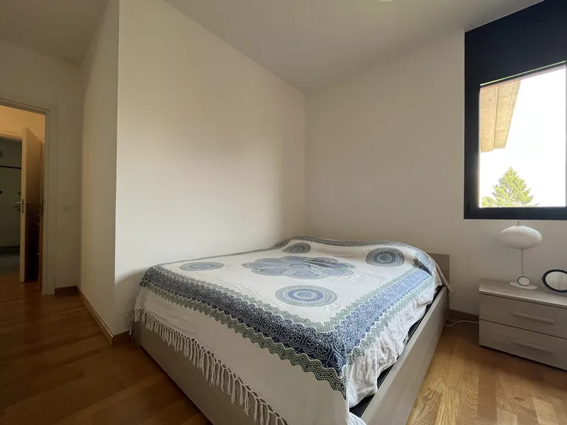 AFFITTASI MODERNO ATTICO 4.5 CON TERRAZZA A LUGANO SORENGO, Foto 8