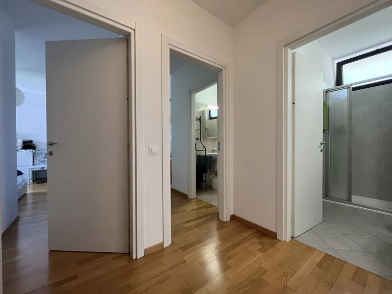 AFFITTASI MODERNO ATTICO 4.5 CON TERRAZZA A LUGANO SORENGO, Foto 6
