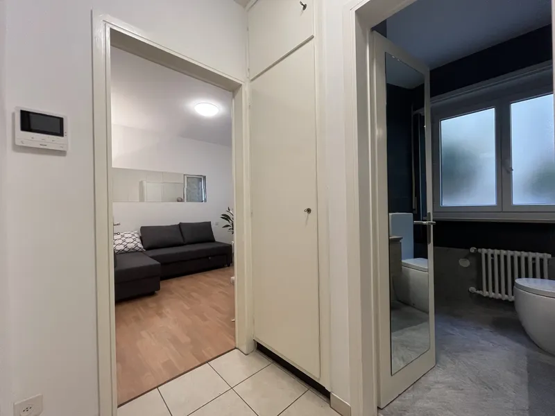 AFFITTASI RINNOVATO E ARREDATO 1.5 LOCALI RIVA LAGO A LUGANO, Foto 1