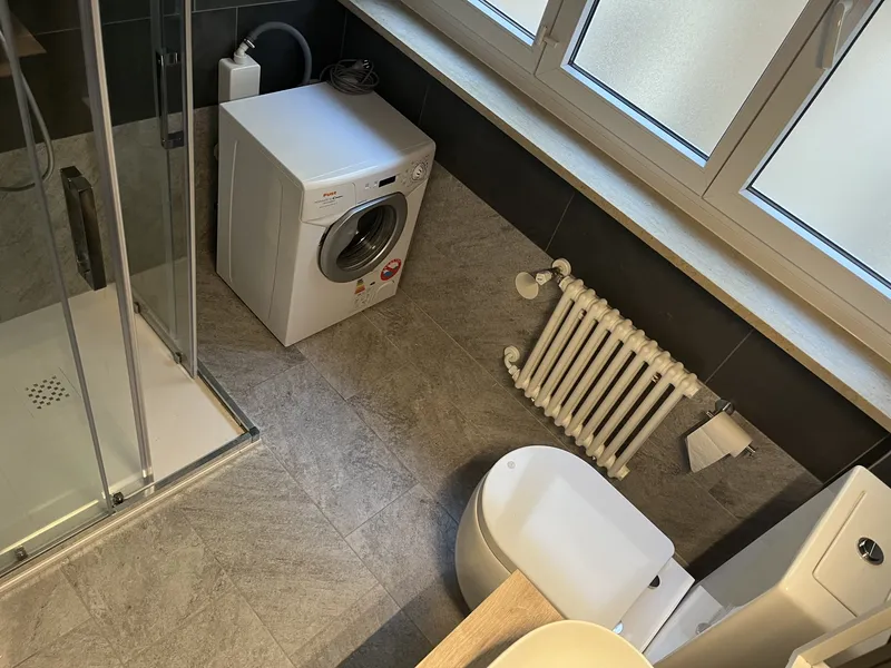 AFFITTASI RINNOVATO E ARREDATO 1.5 LOCALI RIVA LAGO A LUGANO, Foto 6