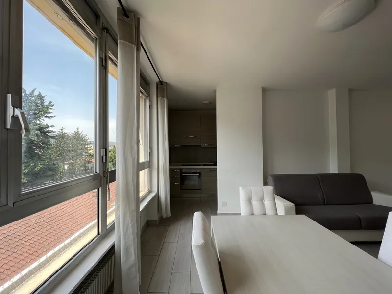 MERAVIGLIOSO ED AMPIO 2.5 RINNOVATO CON TERRAZZA A CHIASSO, foto 2
