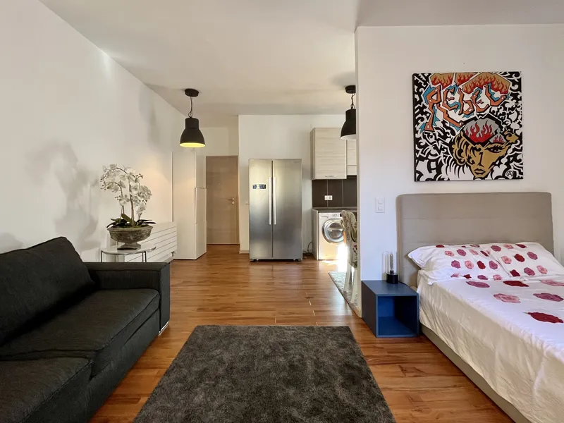 AFFITTASI BILOCALE OPEN-SPACE ARREDATO DI DESIGN A MASSAGNO, photo 5