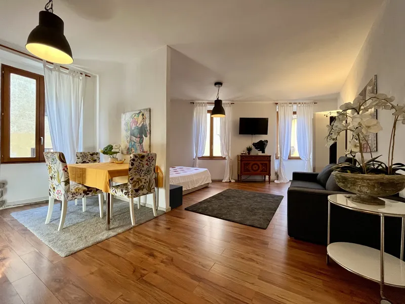 AFFITTASI BILOCALE OPEN-SPACE ARREDATO DI DESIGN A MASSAGNO, photo 2