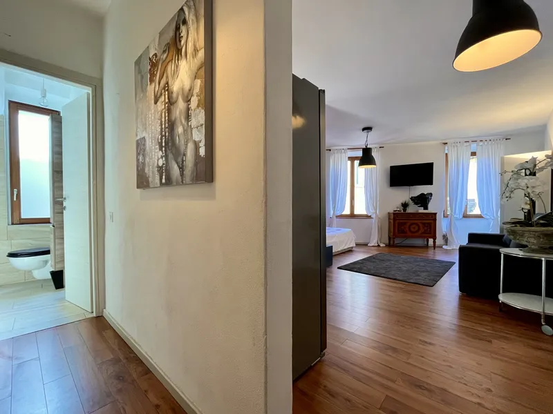 AFFITTASI BILOCALE OPEN-SPACE ARREDATO DI DESIGN A MASSAGNO, photo 7