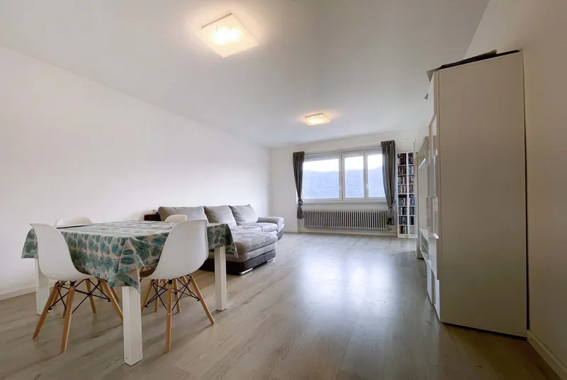 VERO AFFARE - AMPIO 4.5 CON BALCONE E VISTA APERTA A BALERNA, foto 1