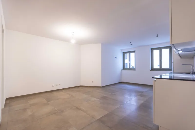 PREZZO ECCEZIONALE - NUOVO 2.5 LOCALI A LUGANO BREGANZONA, photo 3