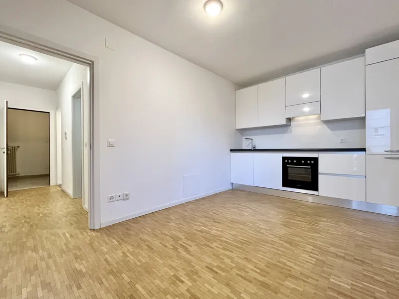 INVESTIMENTO IDEALE - MONOLOCALE A REDDITO A COLDRERIO, foto 2