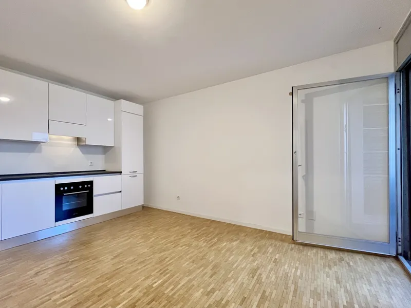 INVESTIMENTO IDEALE - MONOLOCALE A REDDITO A COLDRERIO, foto 3