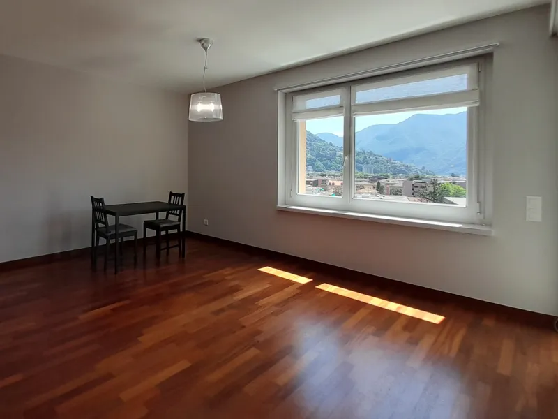 AFFITTASI 3.5 LOCALI ARREDATO CON TERRAZZA A LUGANO CENTRALE, foto 8