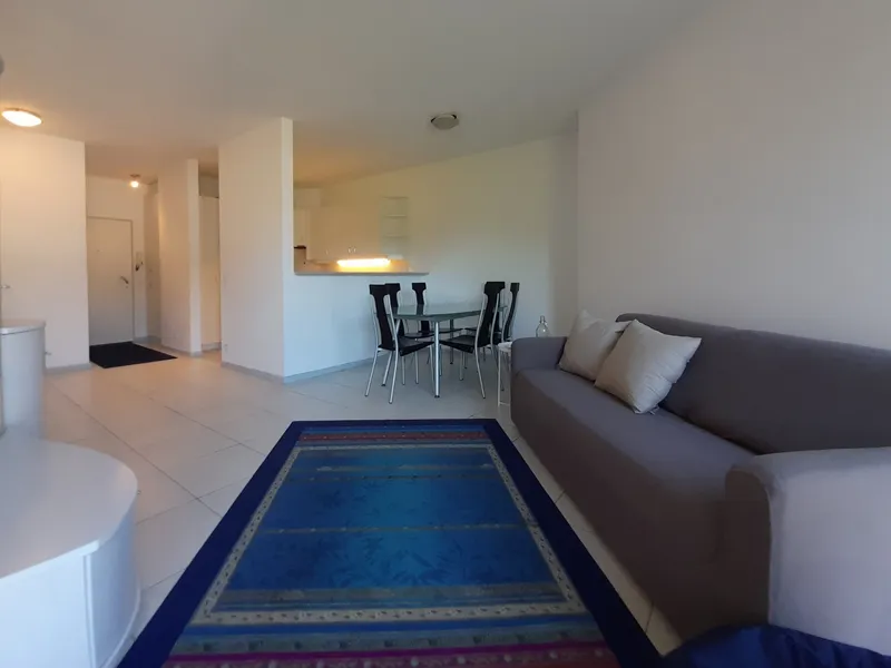 AFFITTASI COMODO 2.5 LOCALI ARREDATO VISTA LAGO A LUGANO, foto 8