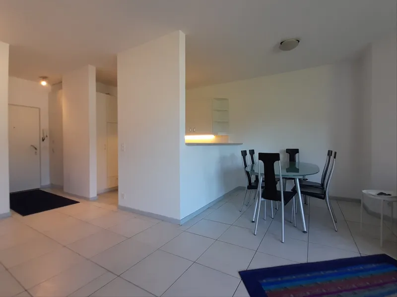 AFFITTASI COMODO 2.5 LOCALI ARREDATO VISTA LAGO A LUGANO, foto 7