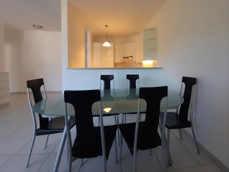 AFFITTASI COMODO 2.5 LOCALI ARREDATO VISTA LAGO A LUGANO, foto 10