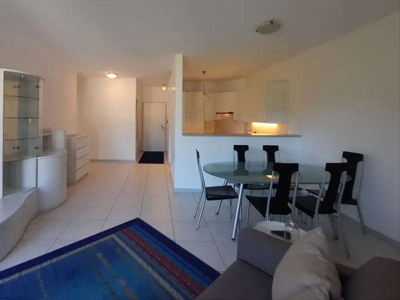 AFFITTASI COMODO 2.5 LOCALI ARREDATO VISTA LAGO A LUGANO, foto 9