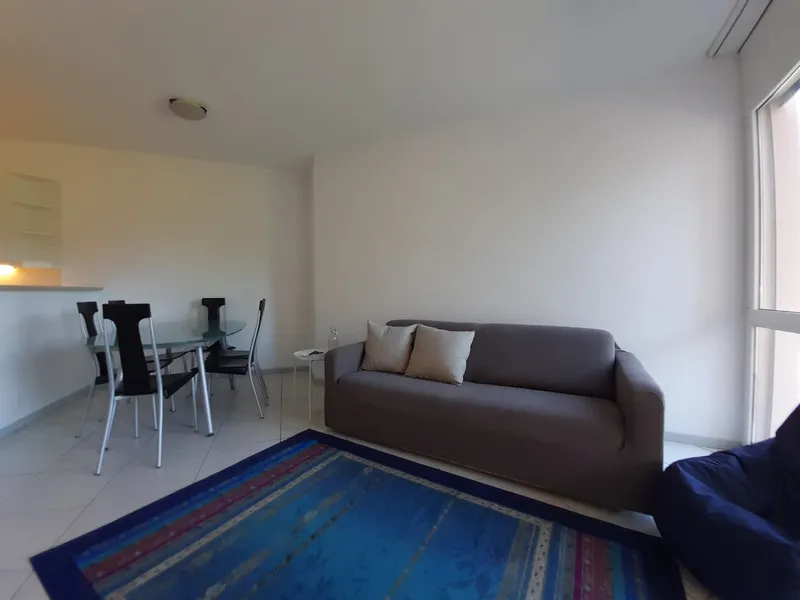 AFFITTASI COMODO 2.5 LOCALI ARREDATO VISTA LAGO A LUGANO, foto 3