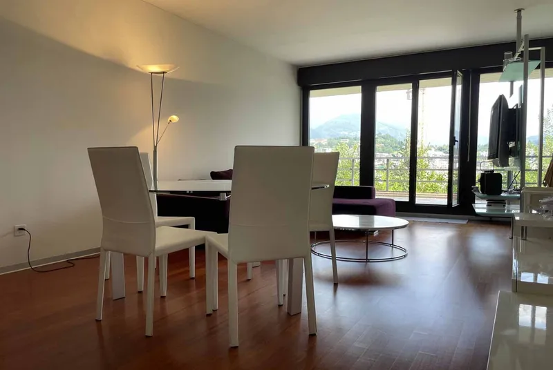 AFFITTASI 2.5 LOCALI CON TERRAZZA VISTA LAGO A PARADISO, foto 6