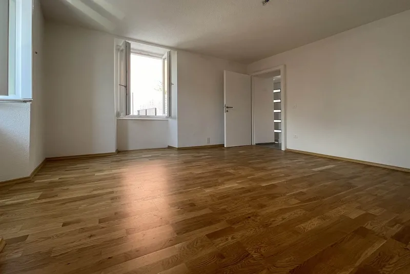 SPLENDIDA CASA DI 4.5 LOCALI RISTRUTTURATA A BELLINZONA, foto 5