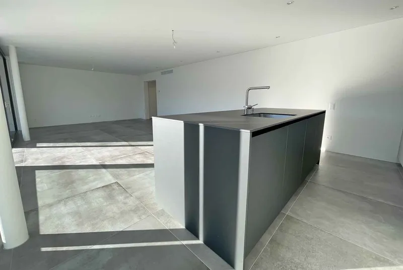 STUPENDO 3.5 LOCALI CON TERRAZZA E GIARDINO IN COLLINA D'ORO, foto 5