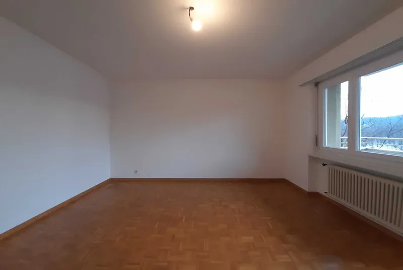 AFFITTASI 2.5 LOCALI CON DUE TERRAZZE A CAPRIASCA, foto 8