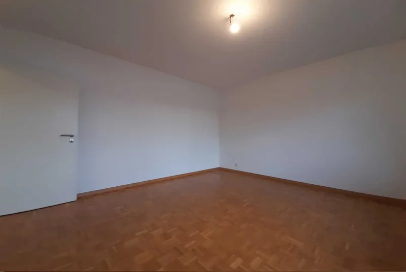 AFFITTASI 2.5 LOCALI CON DUE TERRAZZE A CAPRIASCA, foto 7