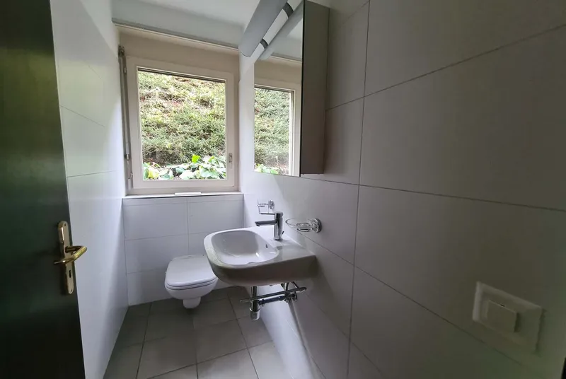 AMPIO 2.5 LOCALI CON PISCINA E VISTA LAGO AD ALDESAGO, foto 6