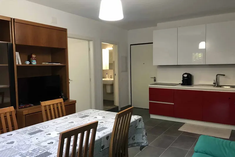 APPARTAMENTO 2.5 LOCALI RISTRUTTURATO A CADENAZZO, foto 2