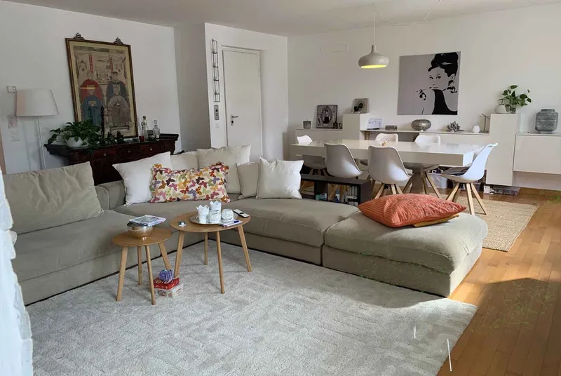 AMPIO 3.5 LOCALI CON TERRAZZA E GIARDINO A MENDRISIO CENTRO, foto 4