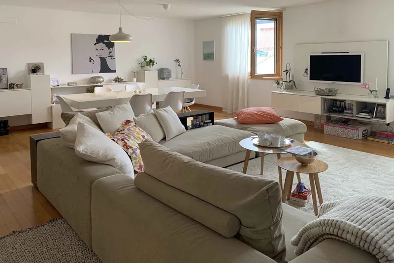 AMPIO 3.5 LOCALI CON TERRAZZA E GIARDINO A MENDRISIO CENTRO, foto 2