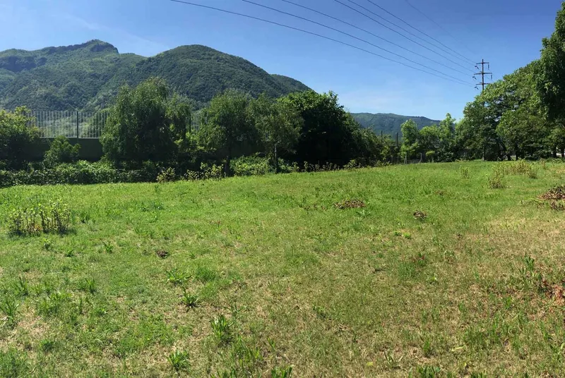 TERRENO PIANEGGIANTE EDIFICABILE DI 1017 MQ A MELANO, foto 2