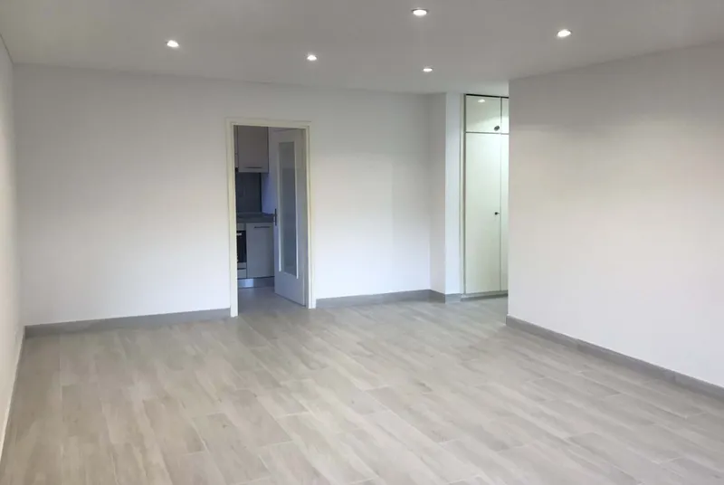 1.5 LOCALI RISTRUTTURATO A LUGANO-PREGASSONA, photo 2
