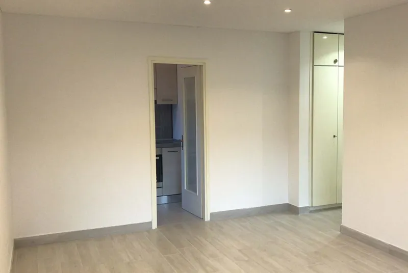 1.5 LOCALI RISTRUTTURATO A LUGANO-PREGASSONA, photo 11