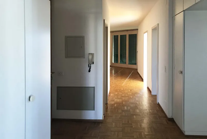 LUMINOSO 4.5 LOCALI VISTA LAGO A PREGASSONA, foto 3