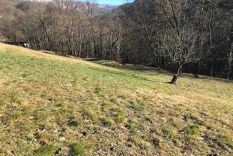 TERRENO EDIFICABILE CON LICENZA PER REALIZZARE UNA VILLA A C, foto 2
