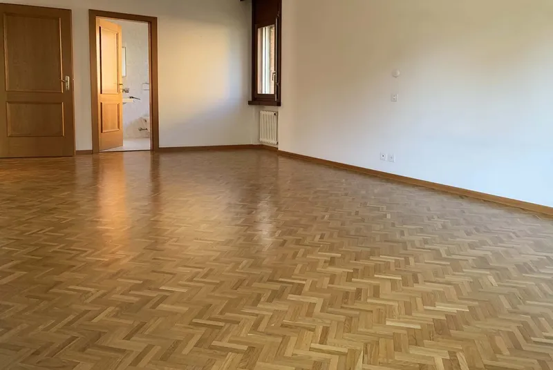 AMPIO 3.5 LOCALI DI 130 MQ CON TERRAZZA A PREGASSONA, foto 2