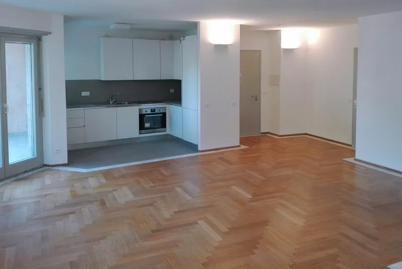 2.5 LOCALI RISTRUTTURATO CON TERRAZZA VISTA LAGO A LUGANO, foto 2