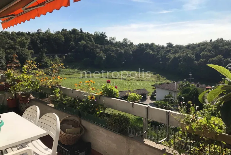 3.5 LOCALI CON TERRAZZA VISTA APERTA NEL VERDE A SAVOSA, foto 10