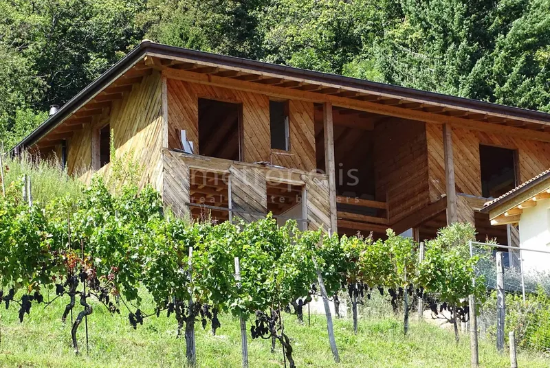 VILLA BIFAMILIARE 10 LOCALI IN COSTRUZIONE A CIMO-BIOGGIO, foto 3