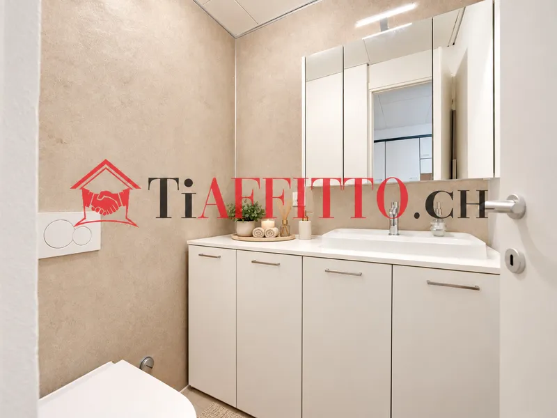 GRANDE LOFT RISTRUTTURATO DI 2.5 LOCALI A CADRO, photo 7